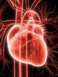Sistema vascular cardio e hipertensión